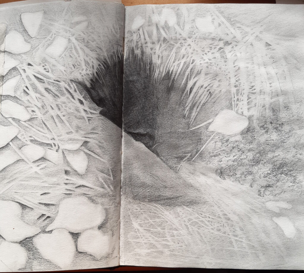 Drawing called Habitat in graphite