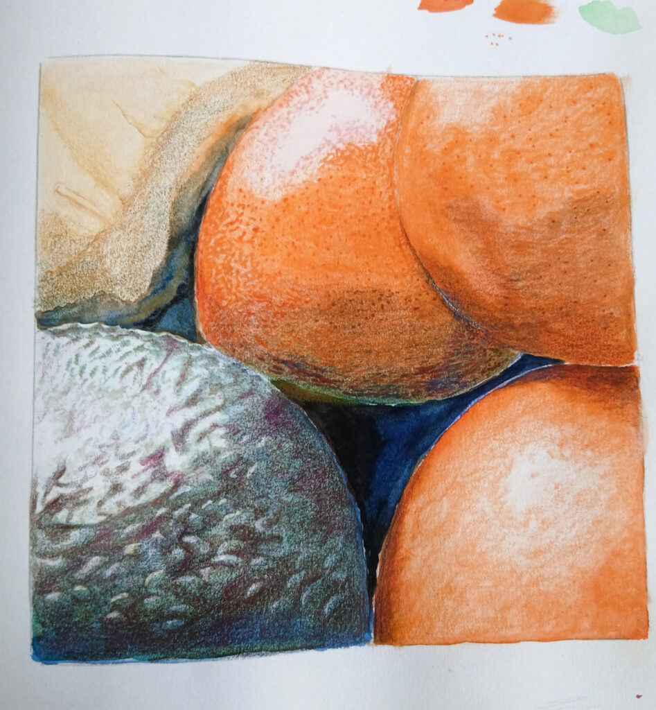 Fruits - drawing by Pauline Pearce